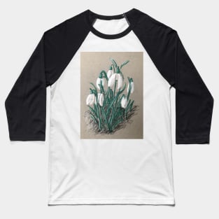 Snowdrops Baseball T-Shirt